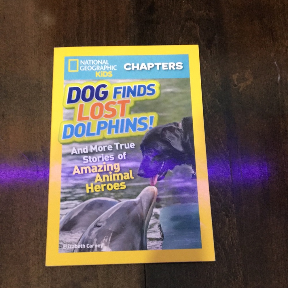 Dog finds lost dolphins